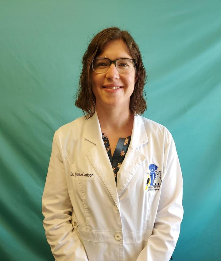 Andrea Carlson